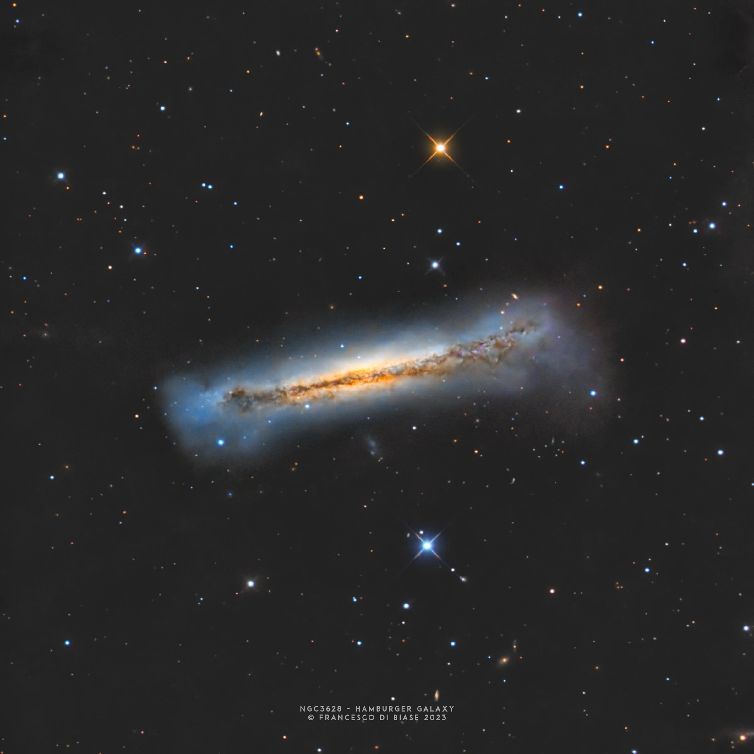 NGC3628 Galaxy